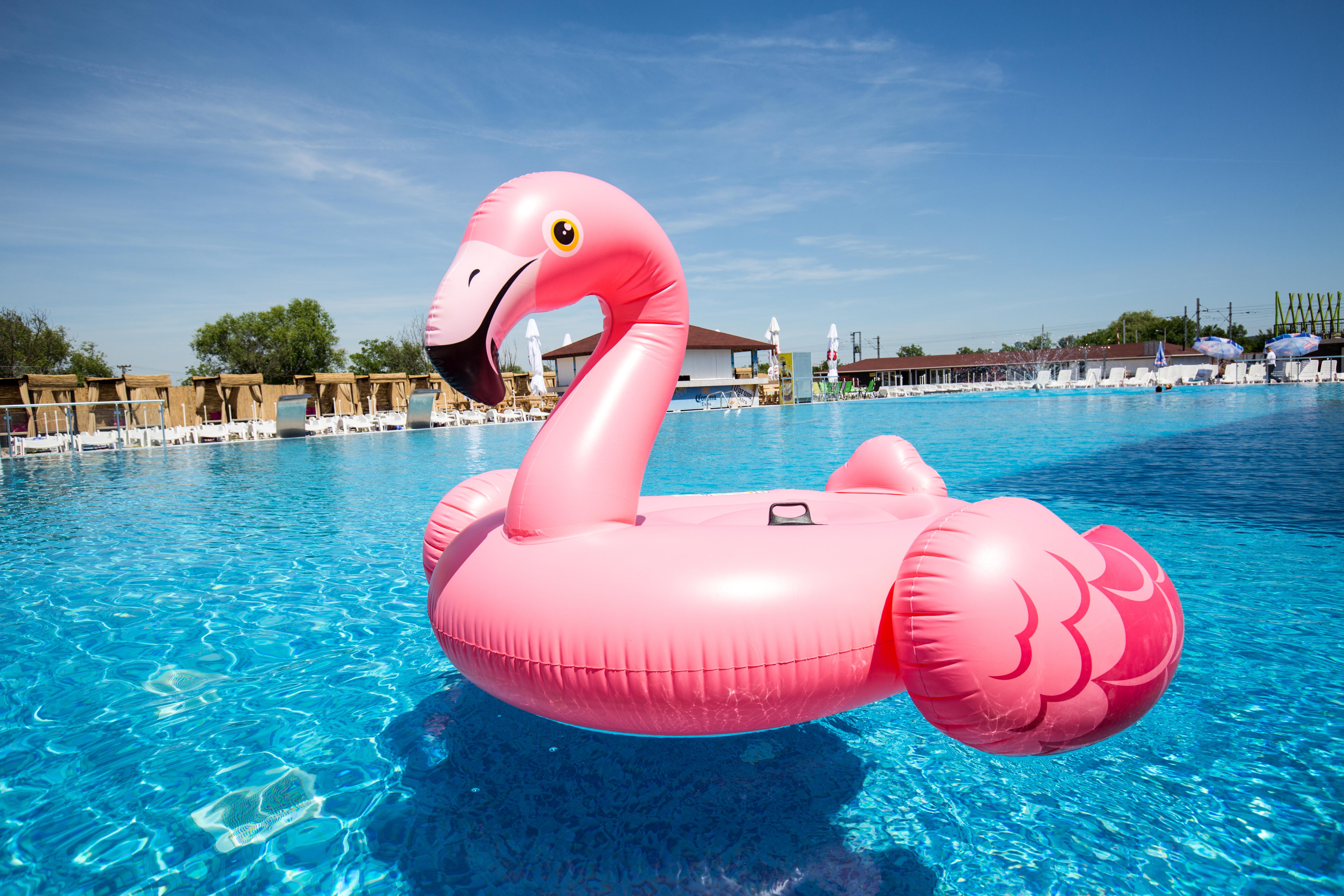 Flamingo Resort Belgrad Dış mekan fotoğraf